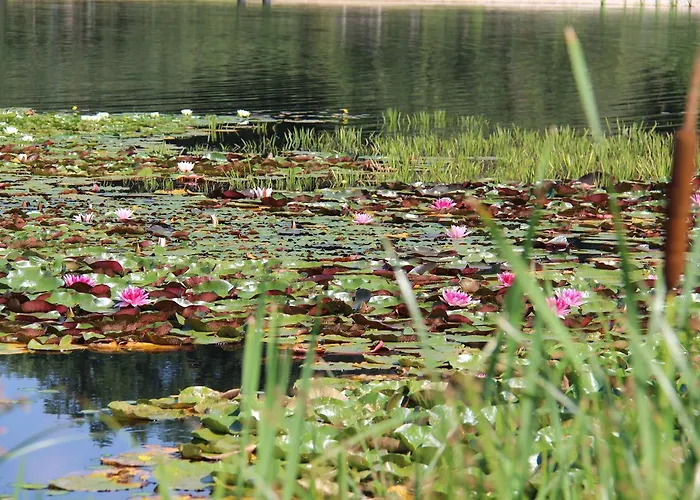 Hotel-restaurant Gruber Hotel *